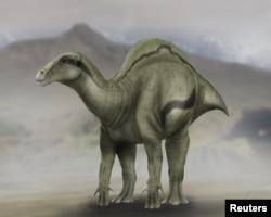 A life reconstruction of Morelladon is shown in this illustration provided by Carlos de Miguel Chaves.