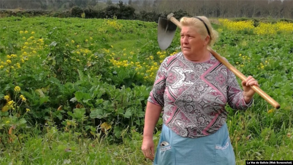 Dolores Leis, de 64 aÃ±os, habla con sencillez de su repentina fama, y dice que lo que mÃ¡s le importa es la salud de sus cosechas y una plaga que estÃ¡ afectando sus cultivos de papas. FOTO: La Voz de Galicia.