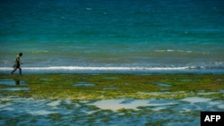 FILE - A man walks along the Indian Ocean as the tide goes out at Coco Beach in Dar es Salaam, Tanzania, Oct. 31, 2014.