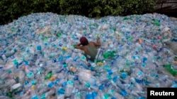 A worker uses a rope to move through a pile of empty plastic bottles at a recycling workshop in Mumbai, June 5, 2014. Plastic bottles are one of the everyday items that contain endocrine-disruptors.