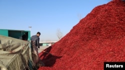 A worker works near a pile of chillies at a market in Jinxiang, Shandong province, China, Jan. 19, 2017. 