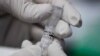 Американські вчені розробляють універсальну вакцину проти грипу