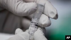 FILE - Biologist Rebecca Gillespie holds a vial of flu-fighting antibodies at the Vaccine Research Center at the National Institutes of Health in Bethesda, Maryland, Dec. 19, 2017. 