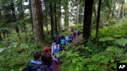 FILE - In this Oct. 6, 2016 photo, Outdoor School students walk through the dense forest on their way to a lesson at Camp Howard in Mount Hood National Forest near Corbett, Ore. (AP Photo/Don Ryan)