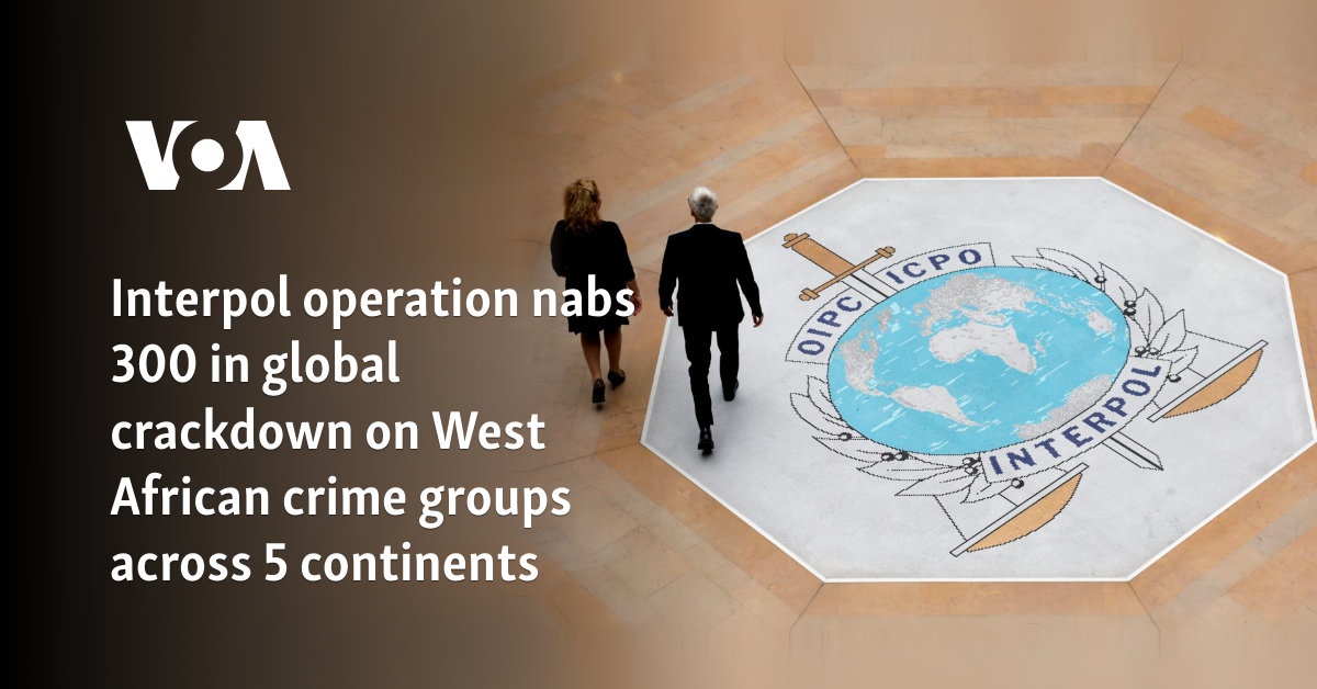 Interpol operation nabs 300 in global crackdown on West African crime groups across 5 continents 