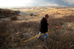 In this Oct. 28, 2019, photo, amateur botanist David Benscoter, of The Lost Apple Project, walks above an orchard in the Steptoe Butte area near Colfax, Wash. Benscoter and fellow botanist E.J. Brandt have rediscovered at least 13 long-lost apple varieties over the past several years in homestead orchards, remote canyons and windswept fields in eastern Washington and northern Idaho. (AP Photo/Ted S. Warren)