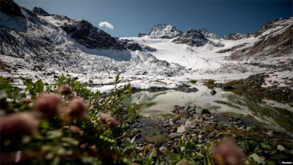 In this file photo, plants grow near a lake in front of Jamtalferner glacier near Galtuer, Austria, on September 11, 2019. (REUTERS/Lisi Niesner)