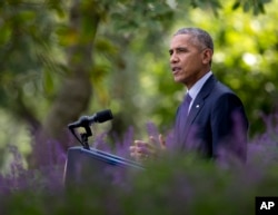 President Barack Obama speaks in the Rose Garden of the White House in Washington, Wednesday, Oct. 5, 2016, where he welcomed the news that the Paris agreement on climate change will take effect in a month as a historic achievement.