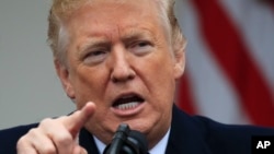 Ông Trump phát biểu trước các phóng viên ở Vườn Hồng về tường biên giới 