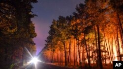 A forest is lighted by wildfires near the village Klausdorf, about 85 kilometers (53 miles) south of Berlin, Aug. 24, 2018.