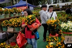 A woman buys Mandarin oranges at a New Year market in Hong Kong's Victoria Park, Monday, Feb. 4, 2019. Chinese will celebrate the lunar new year on Feb. 5 this year which marks the Year of the Pig in the Chinese zodiac. (AP Photo/Vincent Yu)