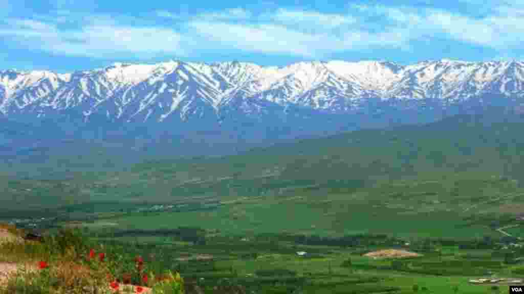 طبیعت کوهستان گرین نهاوند عکس: مهدی (ارسالی شما)