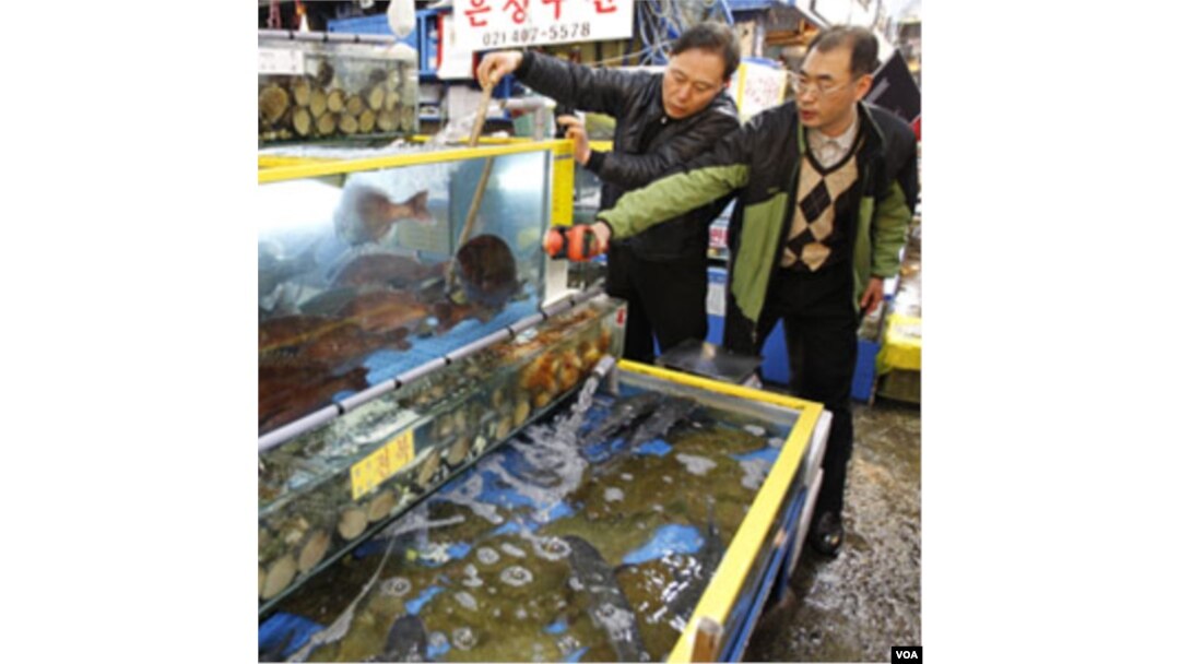 Pejabat kota Seoul memeriksa kadar radiasi dalam ikan hidup di pasar Garak-dong di Seoul, Selasa (29/3).