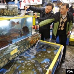 Pejabat kota Seoul memeriksa kadar radiasi dalam ikan hidup di pasar Garak-dong di Seoul, Selasa (29/3).