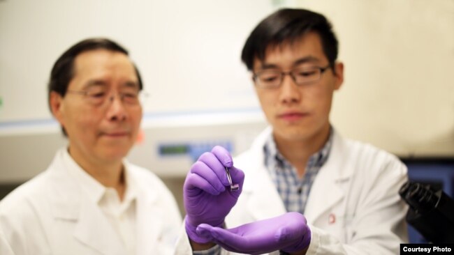 图为俄亥俄州立大学工程院和医学院的华裔学者联合从事硅芯片的研究。