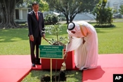 Pangeran Mahkota Abu Dhabi Sheikh Mohammed bin Zayed Al Nahyan (kanan) melakukan penanaman pohon damar didampingi Presiden Joko Widodo di Istana Kepresidenan RI di Bogor, Rabu, 24 Juli 2019.