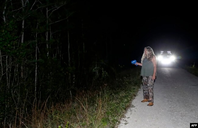 Anne Gordon Vega, kontraktor Dinas Konservasi Margasatwa dan Perikanan Florida, menyisir sebuah area di Everglades untuk mencari ular piton Burma di Miami, Florida, 6 Mei 2019.