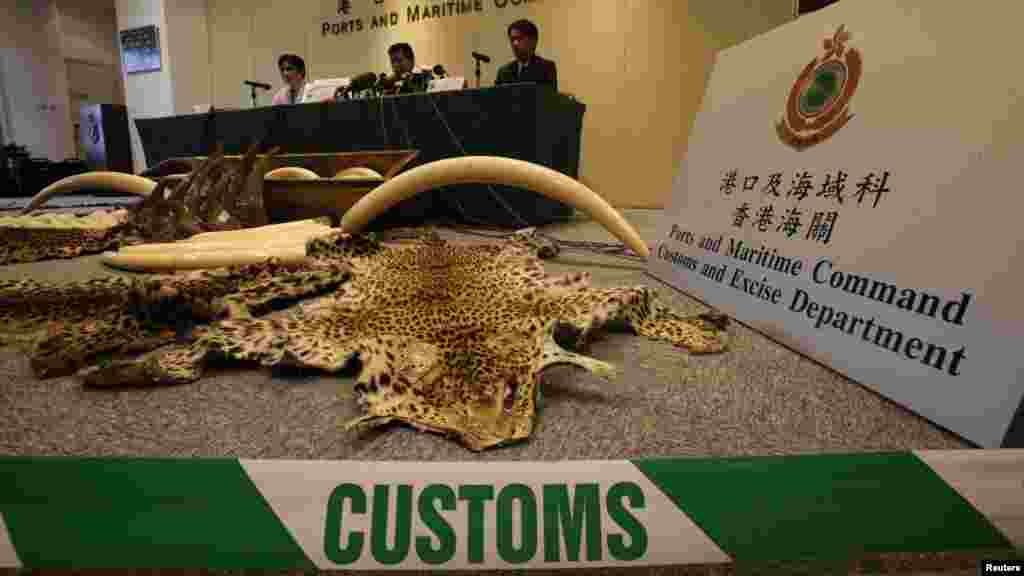Jami'an kwastan din Hong Kong ranar Talatan nan sun cafke hakoran giwa da nauyinsu ya kai kilo 1,120 da hakoran mugun dawa 13 da fatun damisa 5 dukansu nauyinsu ya kai kilo 2,266 a cikin wani akwati duk daga Najeriya zuwa kasar Hong Kong.