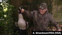 David Price, a hunting guide on Maryland’s Eastern Shore, shows off a Canada goose bagged by a client.