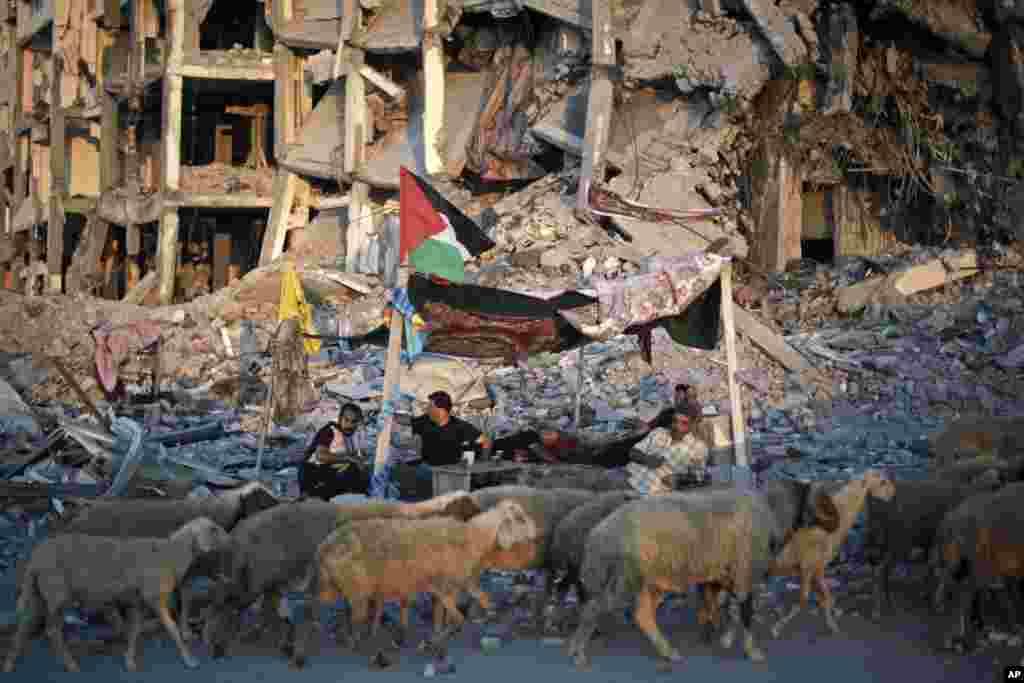 Ziad Rizk, 38, sits with others in a shelter made of a blanket stretched over four poles next to one of the destroyed Nada Towers, where he lost his apartment and clothes shop, in the town of Beit Lahiya, northern Gaza Strip, Monday, Aug. 11, 2014.