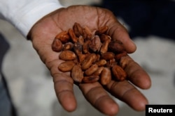 Yoffre Echarri holds cocoa beans on the roof of his house in Caruao, Venezuela, Oct. 24, 2017.