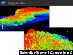 Lidar measurements of forests are giving scientists a better understanding of how and how much carbon is absorbed and stored by forests.