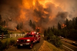 Petugas pemadam kebakaran berupaya memadamkan Tamarack Fire di komunitas Markleeville, Alpine County, California, Sabtu, 17 Juli 2021. (AP Photo/Noah Berger)