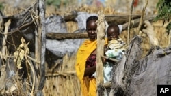 A woman carries her child at her shelter at the Kalma internally displaced persons (IDP) camp outside Nyala town in South Darfur (File Photo).