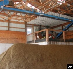 Dried solids from Brubaker's manure digester are sterilized and used as fertilizer and cow bedding