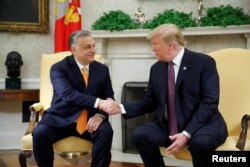 特朗普总统在白宫椭圆形办公室会晤匈牙利总理欧尔班。(2019年5月13日)