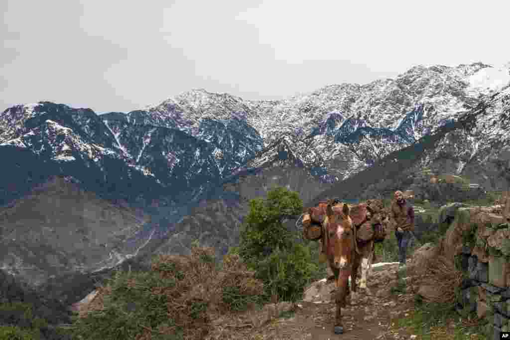 گوشه هایی از زندگی در هیمالیا 