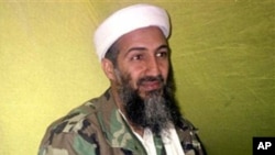 A Timeline of bin Laden's Decades-Long Reign of Terror