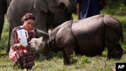 Britain's Kate, Duchess of Cambridge, feeds a baby rhino at the Centre for Wildlife Rehabilitation and Conservation (CWRC), at Panbari reserve forest in Kaziranga, in the north-eastern state of Assam, India, April 13, 2016.