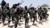 Al-Shabab Militant Killed in US Airstrike