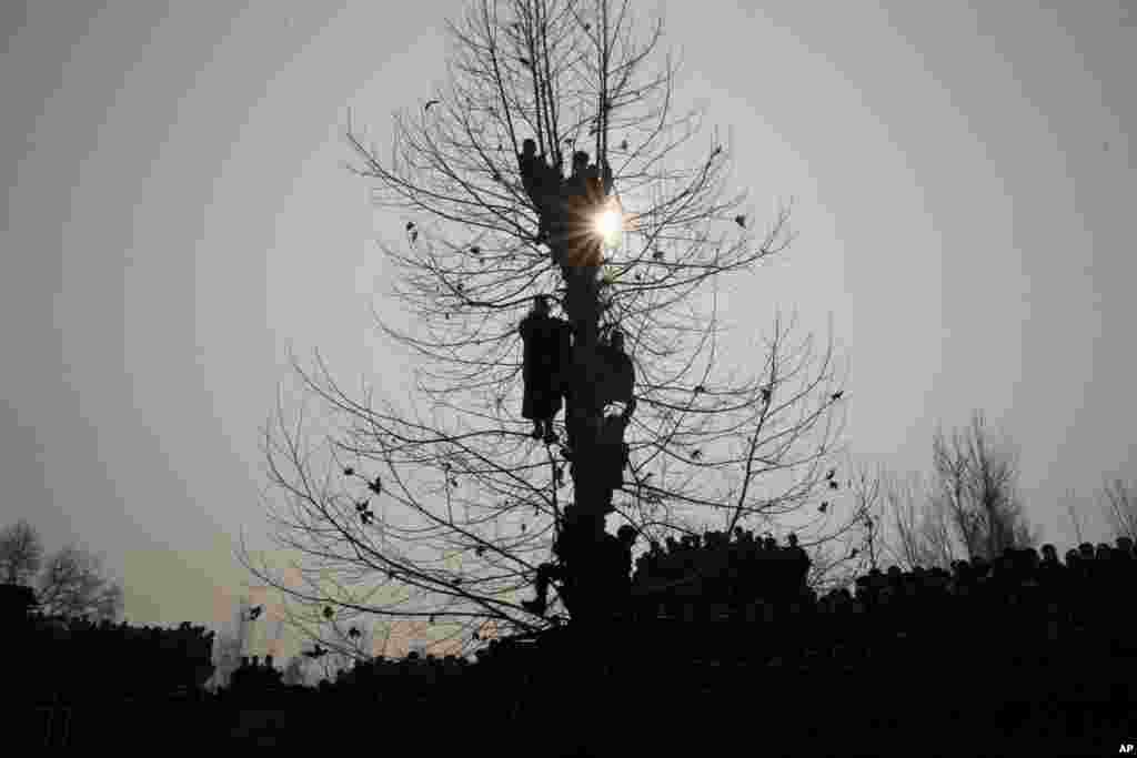 Kashmiri villagers hang on to a tree as they watch the funeral of Azad Ahmed Malik, a top rebel commander, in Arwani, 55 kilometers (35 miles) south of Srinagar, Indian controlled Kashmir.