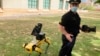 Are Robotic Police Dogs Useful Tools or Threatening Machines?