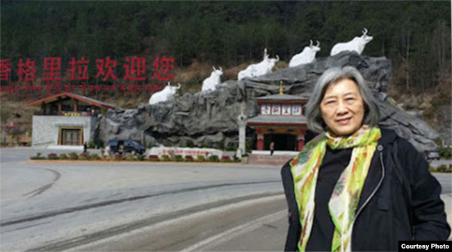 2016年3月在两会期间高瑜被送到云南旅游（王荔蕻推特图片）
