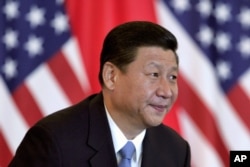 Rais Xi Jinping