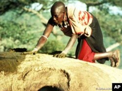 Human rights activists say the Maasai are being pushed off their land by various groups, including the Tanzanian government