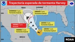 Tropical Storm Harvey