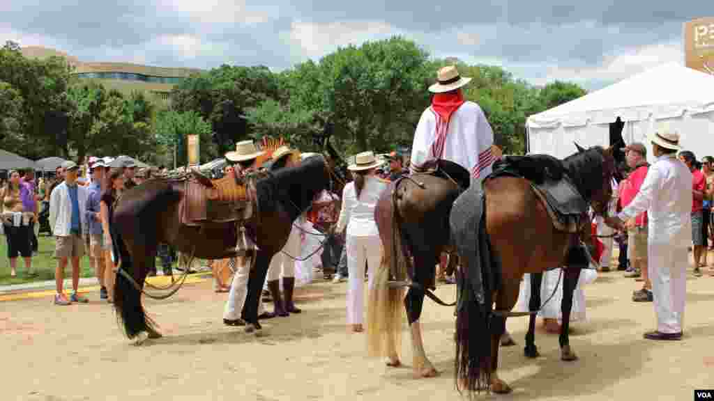 Caballos de Paso