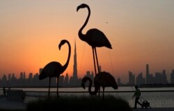 Cakrawala kota dengan latar belakang Burj Khalifa, gedung tertinggi di dunia, dibingkai oleh patung flamingo saat matahari terbenam di Dubai, Uni Emirat Arab, Selasa, 15 Oktober 2019. (Foto: AP/Kamran Jebreili)