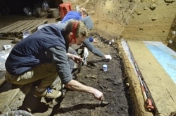 This image provided by Tsenka Tsanova in May 2020 shows excavation work at the Bacho Kiro Cave in Bulgaria.