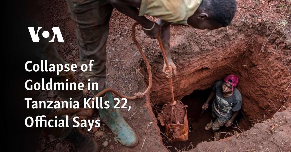 Collapse of Goldmine in Tanzania Kills 22, Official Says