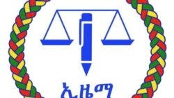 የኢዜማ መግለጫ