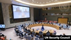 UN Security Council 