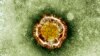 Uzorak koronavirusa pod mikroskopom