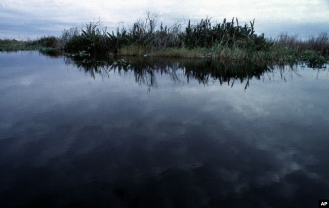 The sky reflects on the north-east boundary of the Evergaldes National Park, near Miami, on Monday, July 27, 1998.