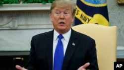 President Donald Trump speaks in the Oval Office of the White House, Feb. 13, 2019.