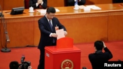 中国国家主席习近平在北京人大会堂为中国宪法修正案投下一票(2018年3月11日)